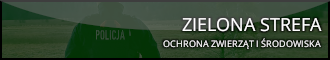 ZIELONA STREFA
