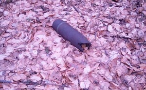 niewybuch leżący w lesie na liściach