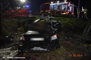 noc, na łące uszkodzony pojaz marki BMW, a w tle wóz strażacki i strażacy