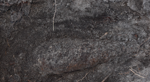 Niewybuch znajdujący się w ziemi