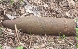 skorodowany pocisk artyleryjski ułożony w masywie lesnym