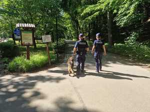 Policjant przewodnik psa wraz z policjantką i psem patrolują teren parku miejskiego