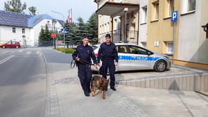 Przewodnik psa i drugi policjant idą z psem w patrolu po chodniku w centrum miejscowości
