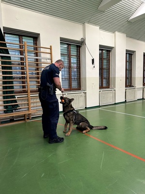 Przewonik wraz ze swoim siedzącym  czworonożnym podopiecznym podczas pokazu posłuszeństwa