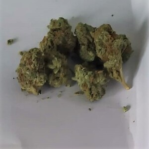 Marihuana na białej kartce papieru