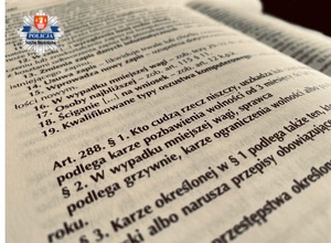 Zjęci ekodeksu karnego z treścia artykułu 288