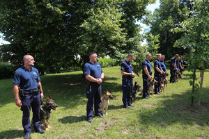 policjanci w szeregu czekają na wręczenie nagórd