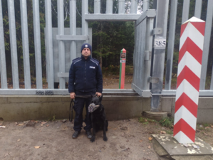 Policyjny pies służbowy z przewodnikiem na granicy
