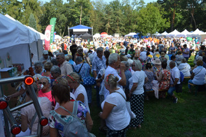 Grupa osób zgromadzonych na senioralniach