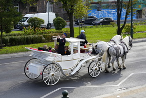 pryczka konna