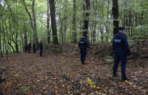 Umundurowani policjanci podczas poszukiwań w lesie