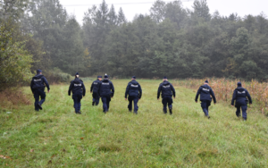 Policjanci idący w stronę lasu podczas prowadzonych ćwiczeń