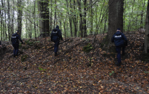 Policjanci podczas działań poszukiwawczych w lesie