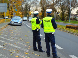 Policjanci podczas czynności kontrolnych  na drodze