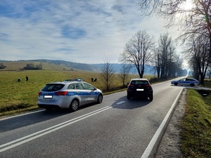 Na drodze stoją dwa radiowowy i jeden samochód, a obok na łące policjanci zatrzymują dwie uciekające osoby.