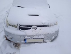 Toyota RAV4 stojąca w polach zasypana śniegiem. Widok z przodu.
