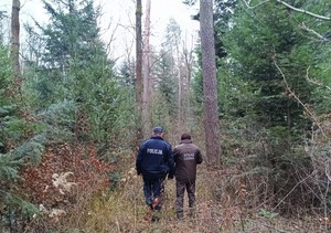 Policjant i strażnik leżny podczas patrolu terenów leśnych