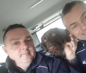 dwóch dzielnicowych z psem jadący w radiowozie
