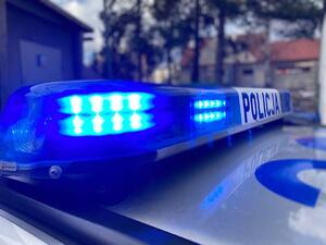 polycyjny kogut z włączonym światłem niebieskim i fragment dachu radiowozu