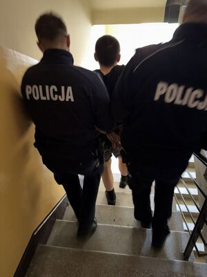 dwóch policjantów prowadzących zatrzymanego po schodach