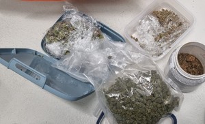 zabezpieczone środki odurzające