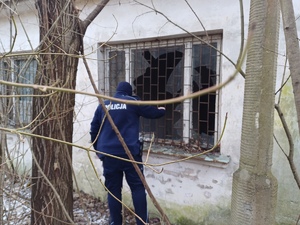 Policjant zagląda przez wybite okno do budynku