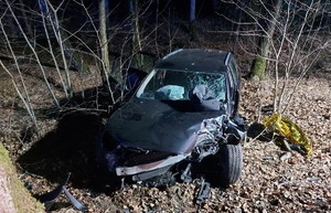 uszkodzony samochód przy drzewie