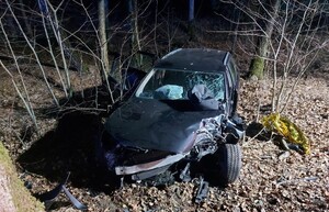 uszkodzony samochód przy drzewie