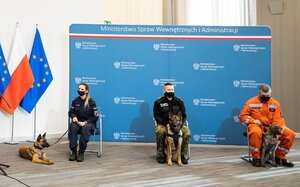 Policjantka, strażnik graniczny oraz ratownik górski z psami służbowymi