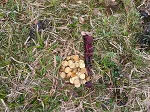 odzyskane monety kolekcjonerskie