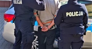 Policjant i policjantka z zatrzymanym obok radiowozu