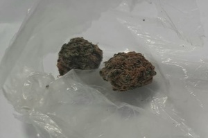 Zabezpieczona marihuana