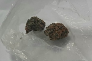 Zabezpieczona marihuana