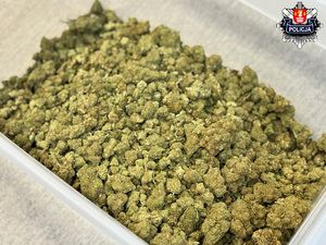 plastikowy pojemnik z duża ilością marichuany