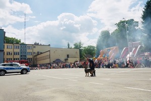 Wszyscy uczestnicy pikniku oglądają pokaz psa służbowego