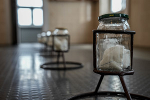 pomieszczenie do szkolenia psów na zapachy - słoiki z przygotowanymi zapachami