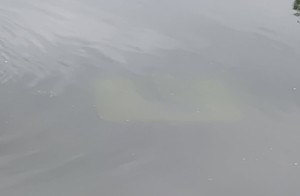 dach ciagnika pod wodą