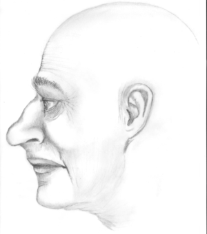 rekonstrukcja zdjęcia z profilu odnalezionych zwłok meżczyzny