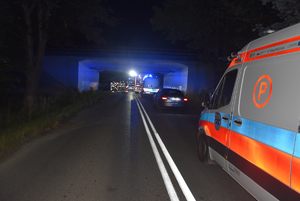 miejsce wypadku, widać wiadukt, karetkę pogotowia, oraz pracujące służby