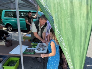 Stoisko babiogórskiego parku narodowego