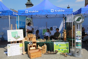 stoisko Nadlesnictwa