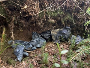 Foliowe worki w skarpie1