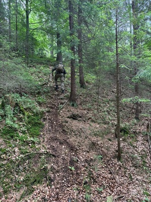 Mężczyzna ubrany w moro wsród drzew