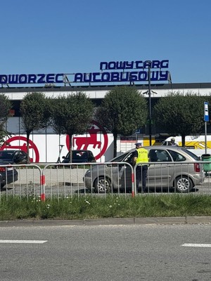 Policjant obok pojazdu (2)