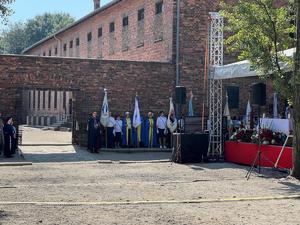 Zabezpieczenie rocznicy męczeńskiej śmierci św. Maksymiliana Kolbe 2025 uczestnicy na terenie Auschwitz przy wejściu na dziedziniec przy bloku 11
