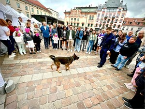 Przewodnik psa służbowego z psem wśród ludzi.