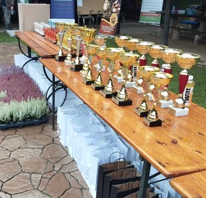 puchary i nagrody stojące na stole