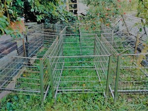 skradzione wózki sklepowe