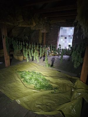 pomieszcznienie z suszem