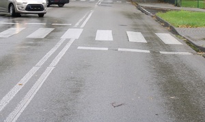 przejście dla pieszych Więźniów Oświęcimia